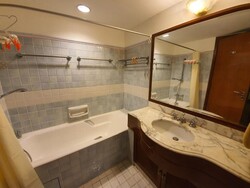 Cavenagh Lodge (D9), Apartment #273067641